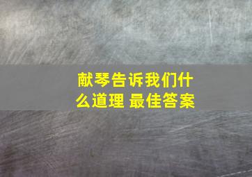 献琴告诉我们什么道理 最佳答案